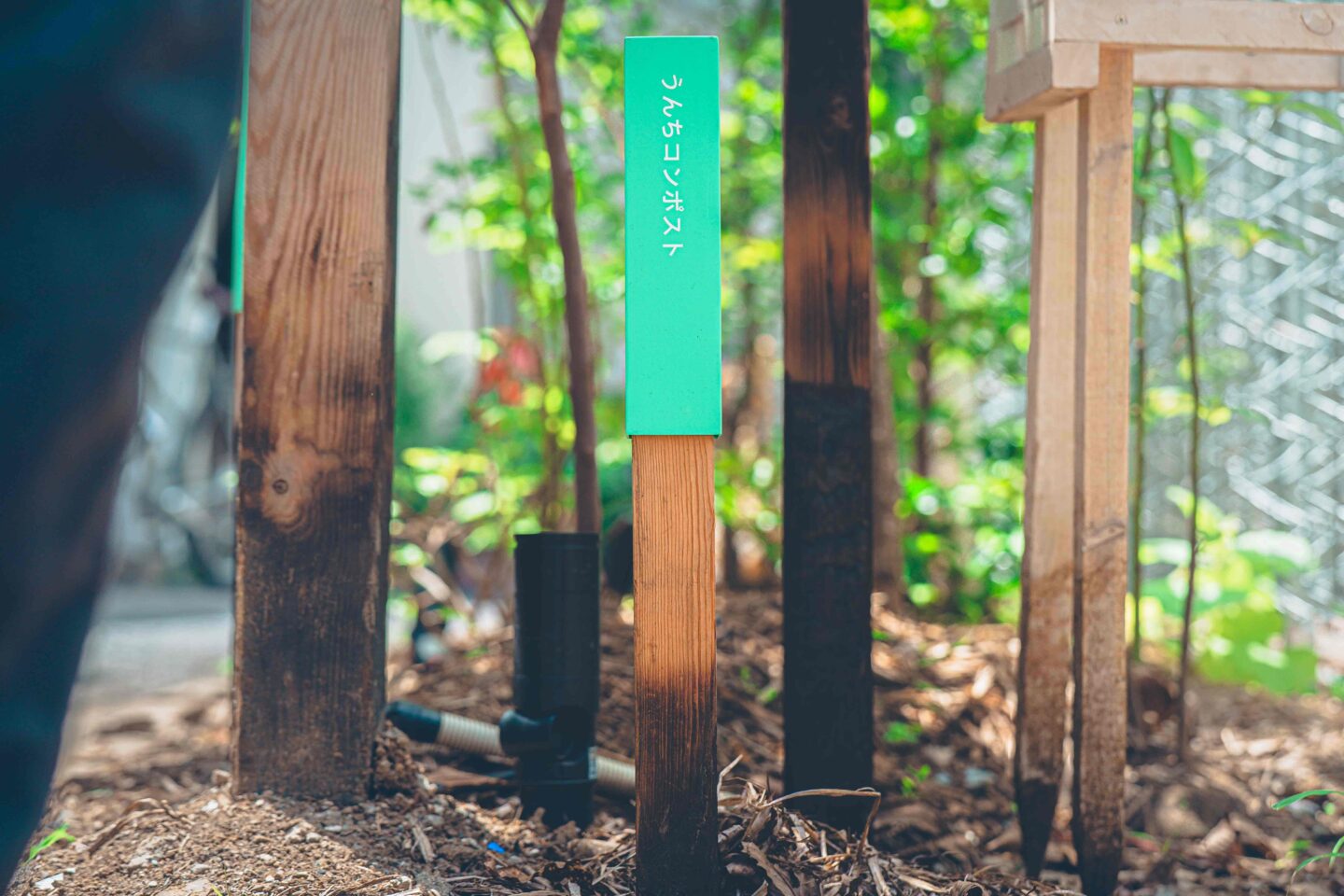 comoris グリーンズ