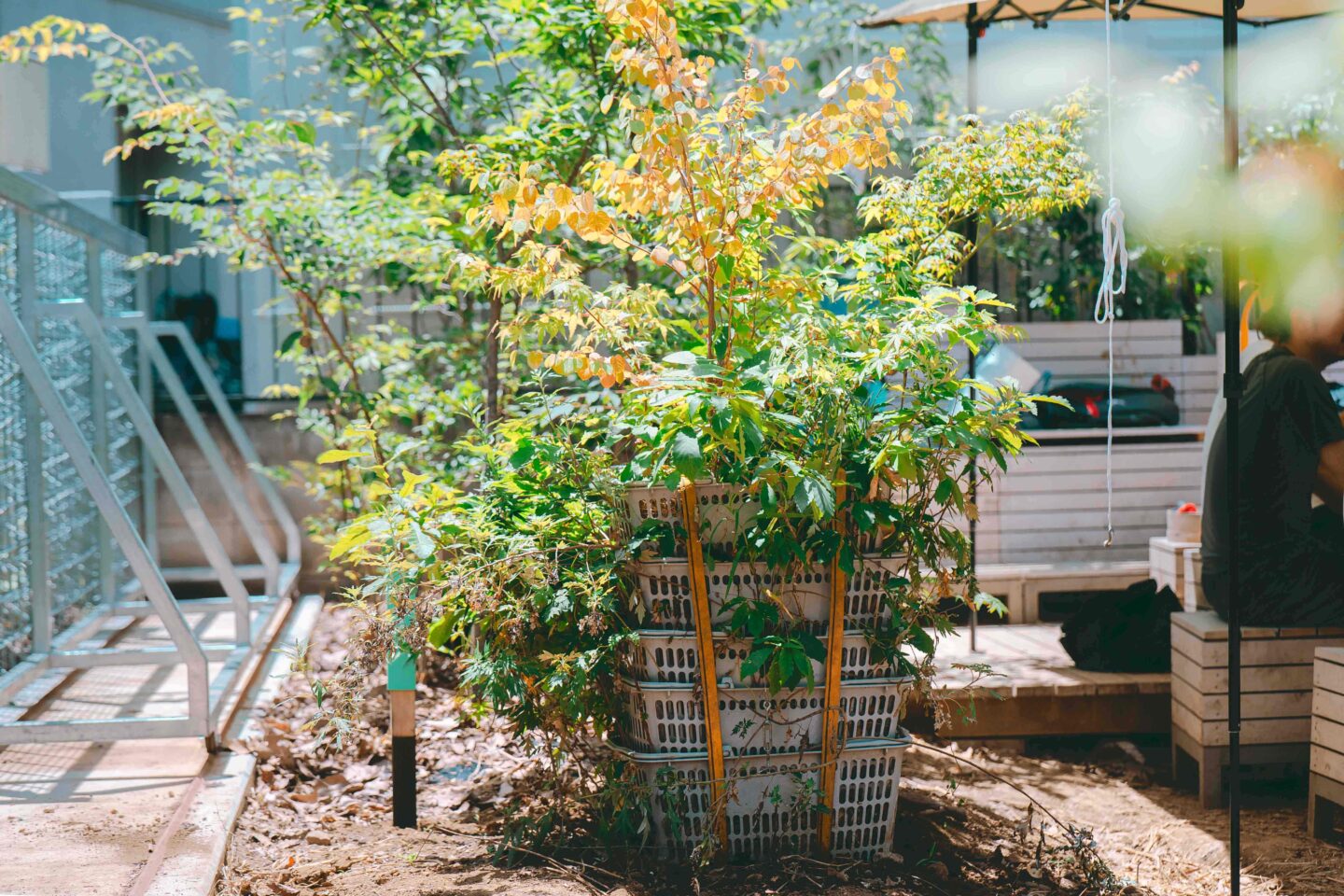 comoris グリーンズ