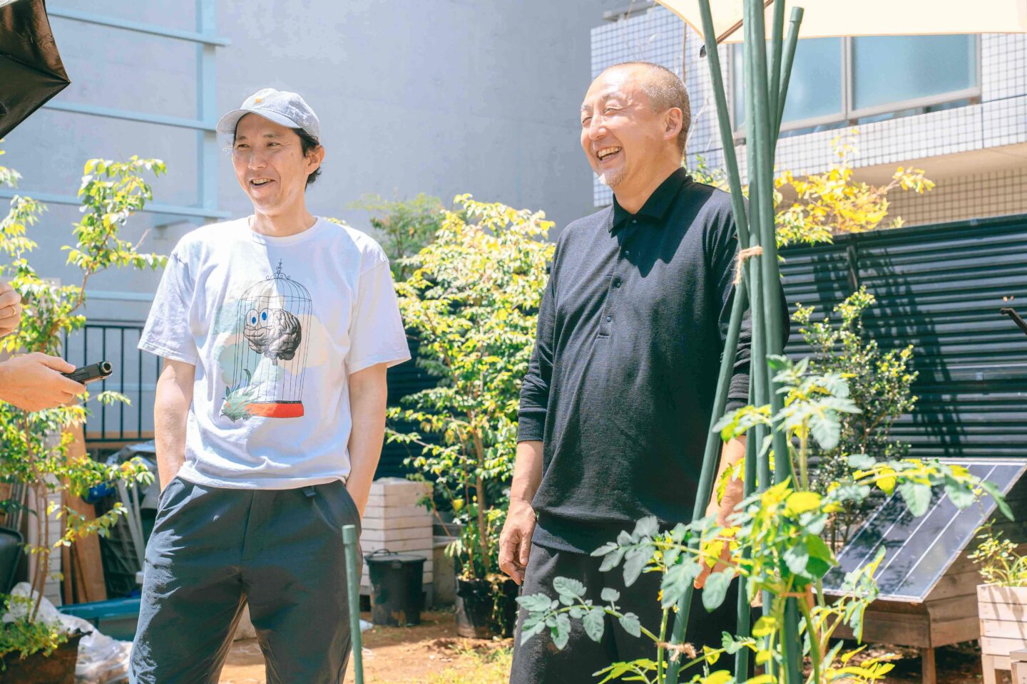 comoris グリーンズ