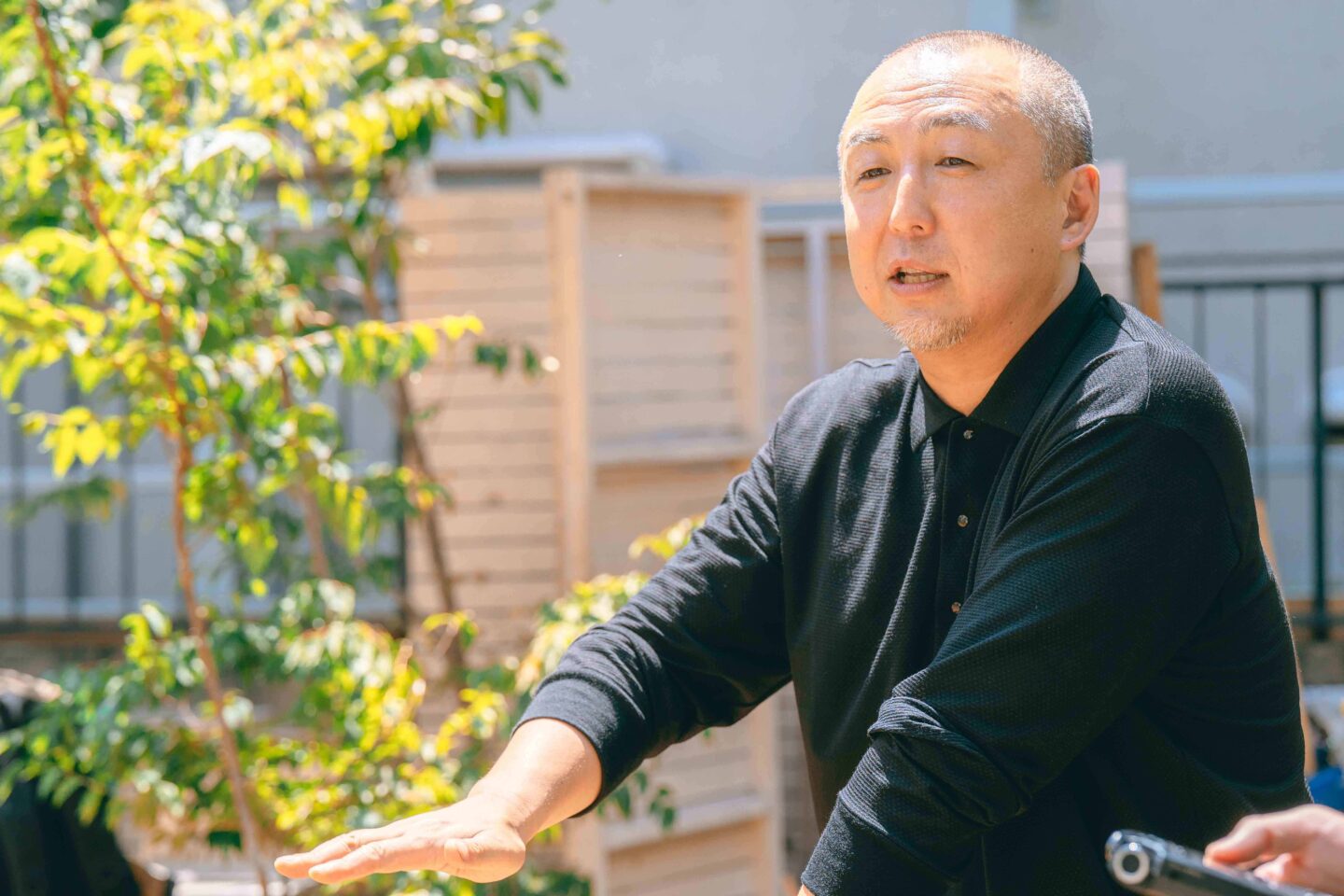 Comoris グリーンズ