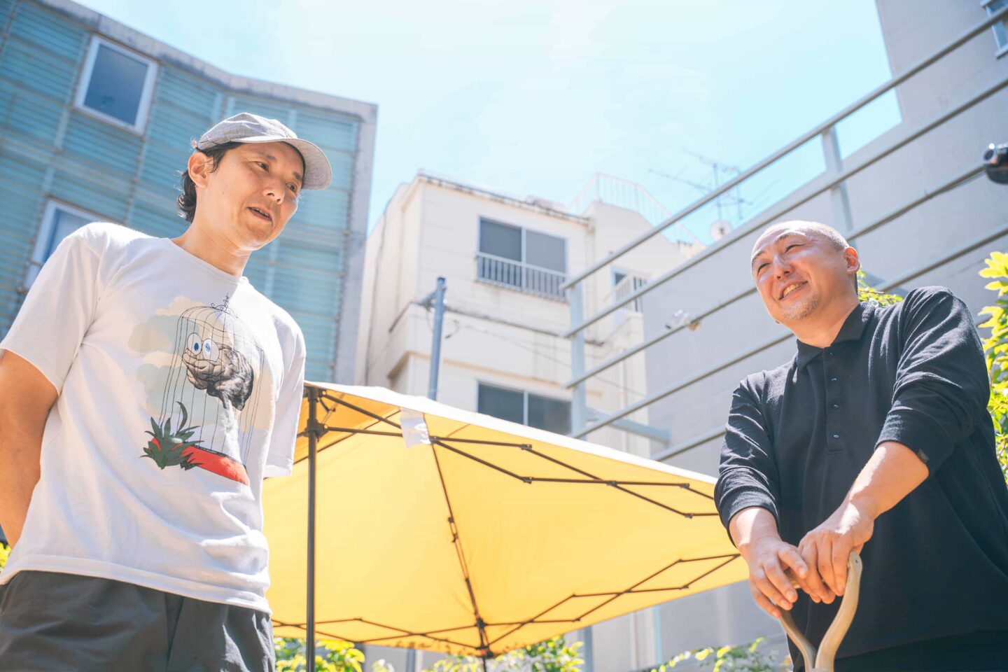 comoris グリーンズ