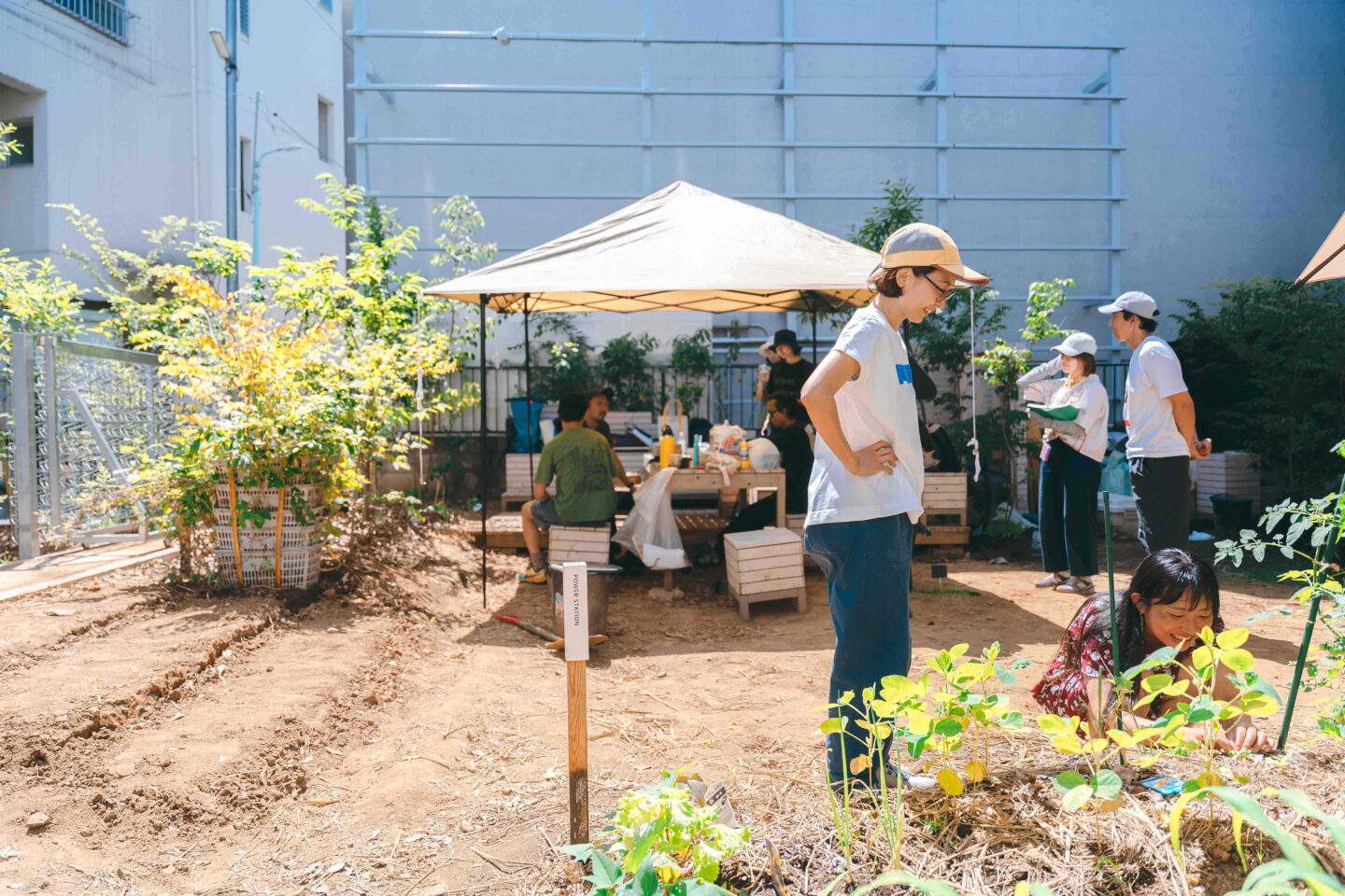 Comoris グリーンズ