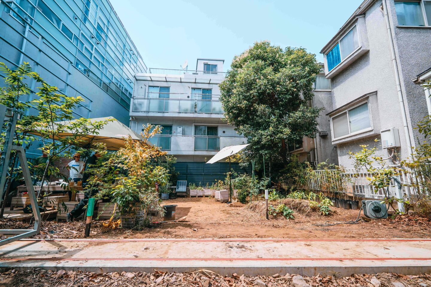 comoris グリーンズ