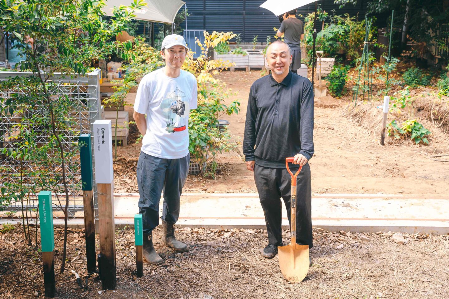 Comoris グリーンズ