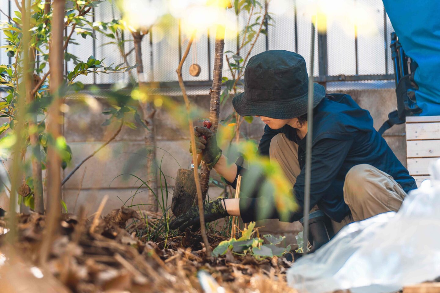 comoris グリーンズ