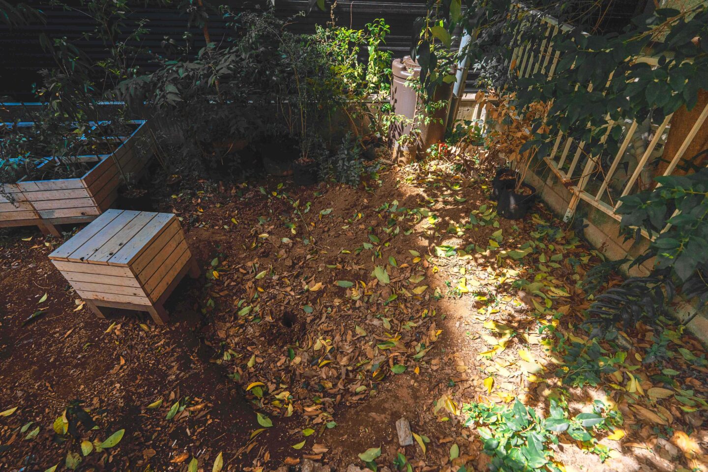 Comoris グリーンズ