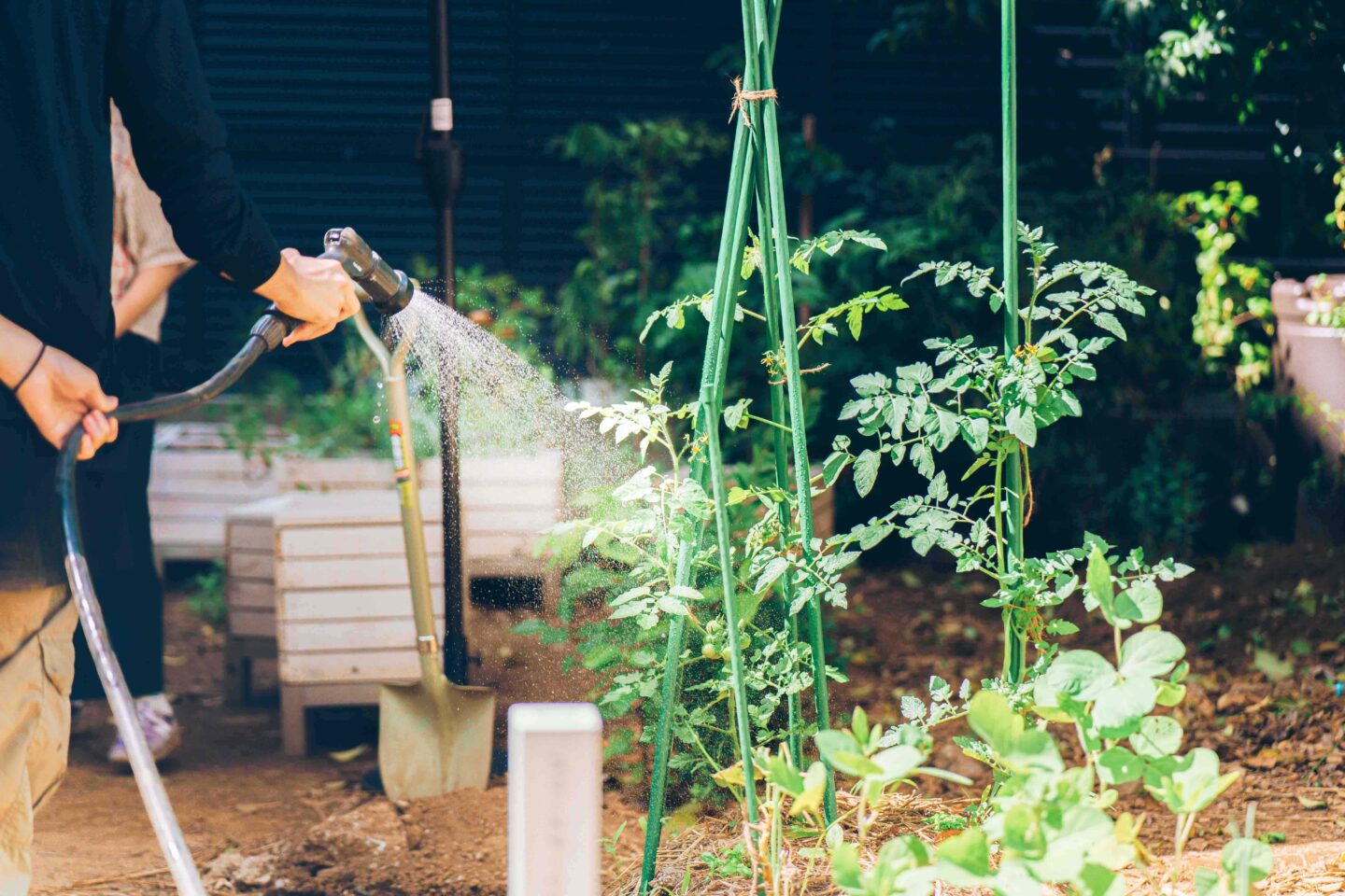 comoris グリーンズ