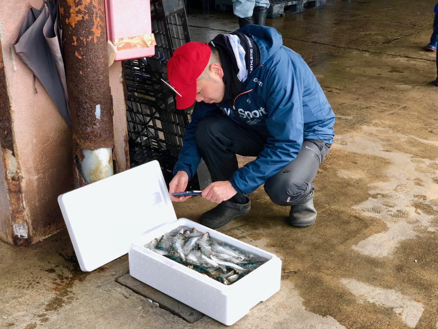 みらいマルシェ　グリーンズ