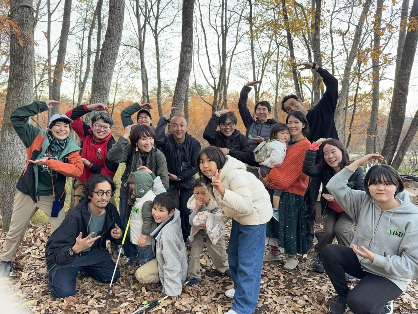 Comoris グリーンズ