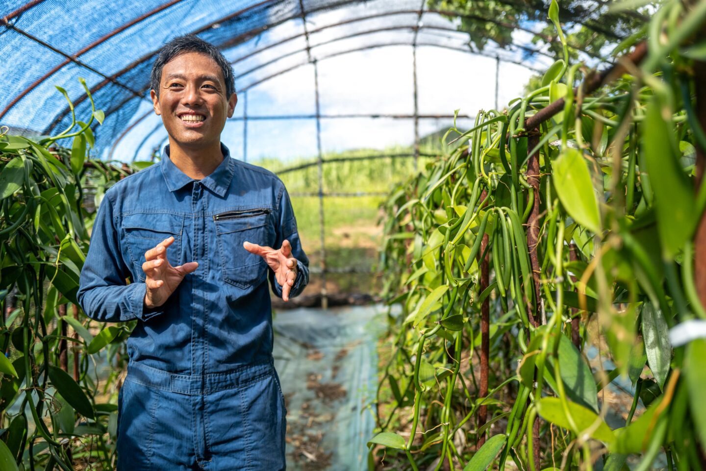 奄美大島polepole グリーンズ