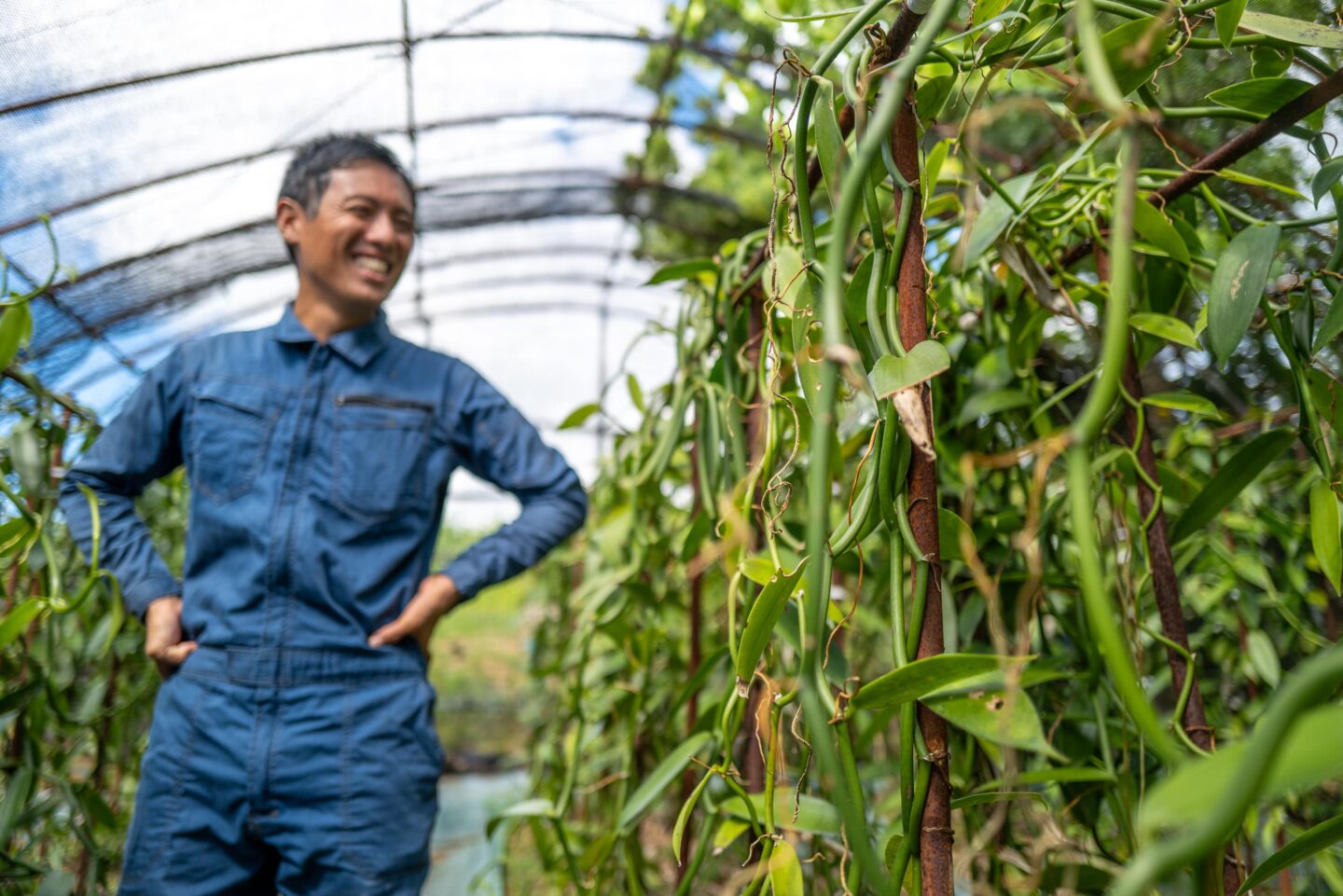 奄美大島polepole グリーンズ