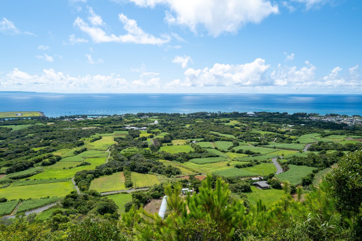 奄美大島polepole グリーンズ