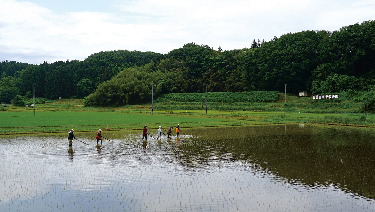 リジェネラティブオーガニックカンファレンス2025 グリーンズ