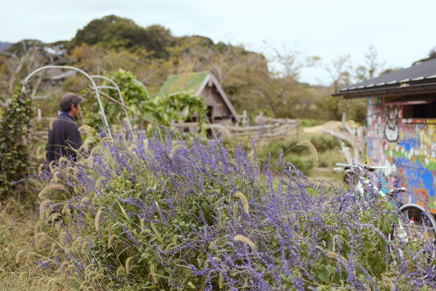 Soil to Soul FARMPARK KAMOGAWA グリーンズ