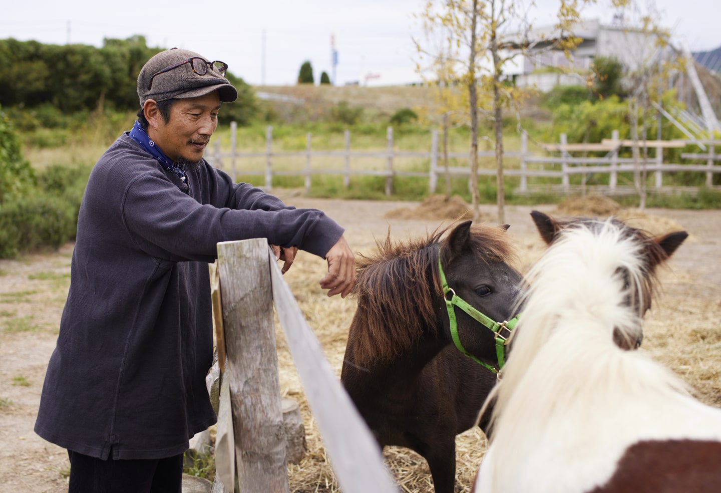Soil to Soul FARMPARK KAMOGAWA グリーンズ