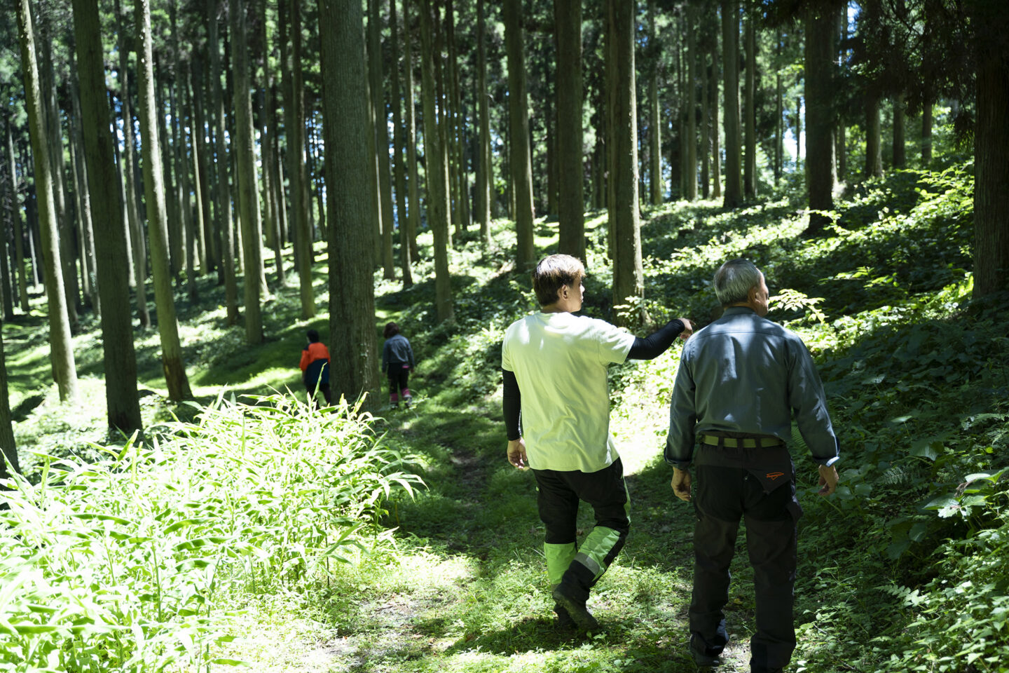 田島山業　グリーンズ