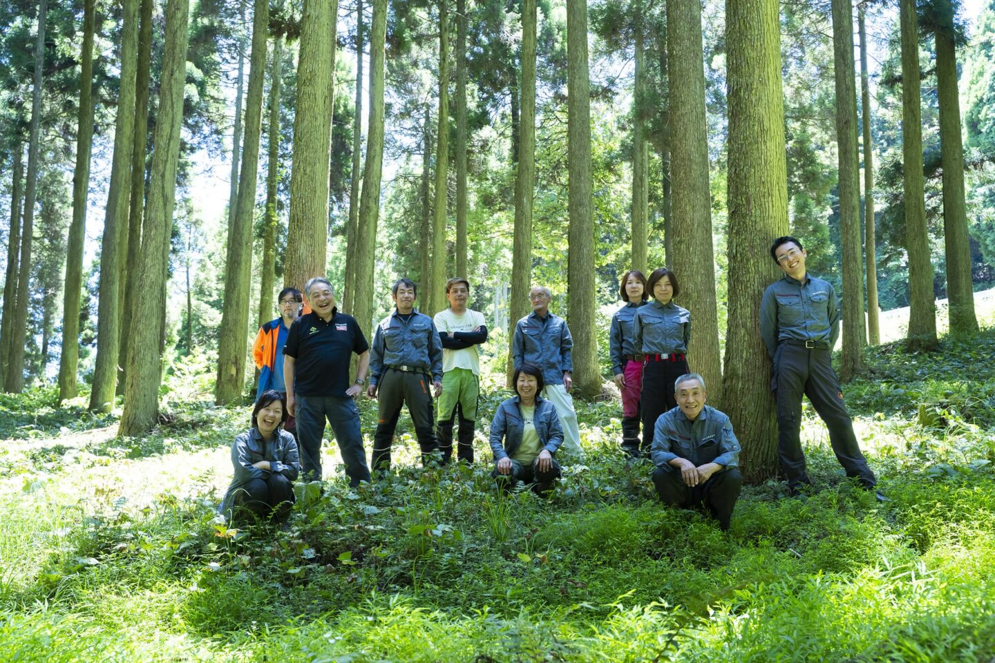 田島山業　グリーンズ