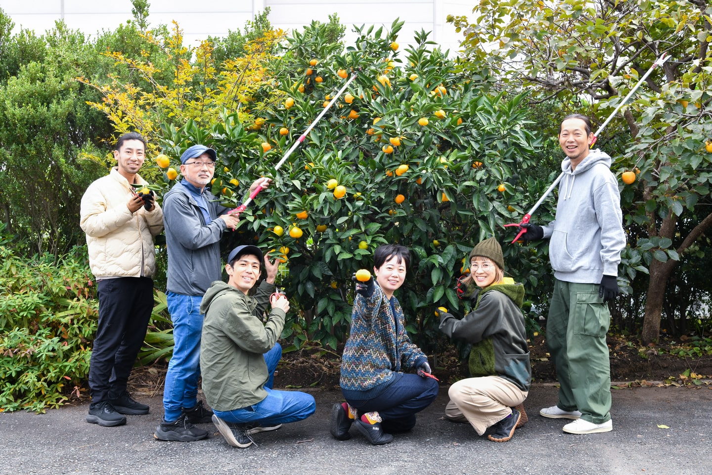 湘南のきさきフルーツプロジェクト グリーンズ