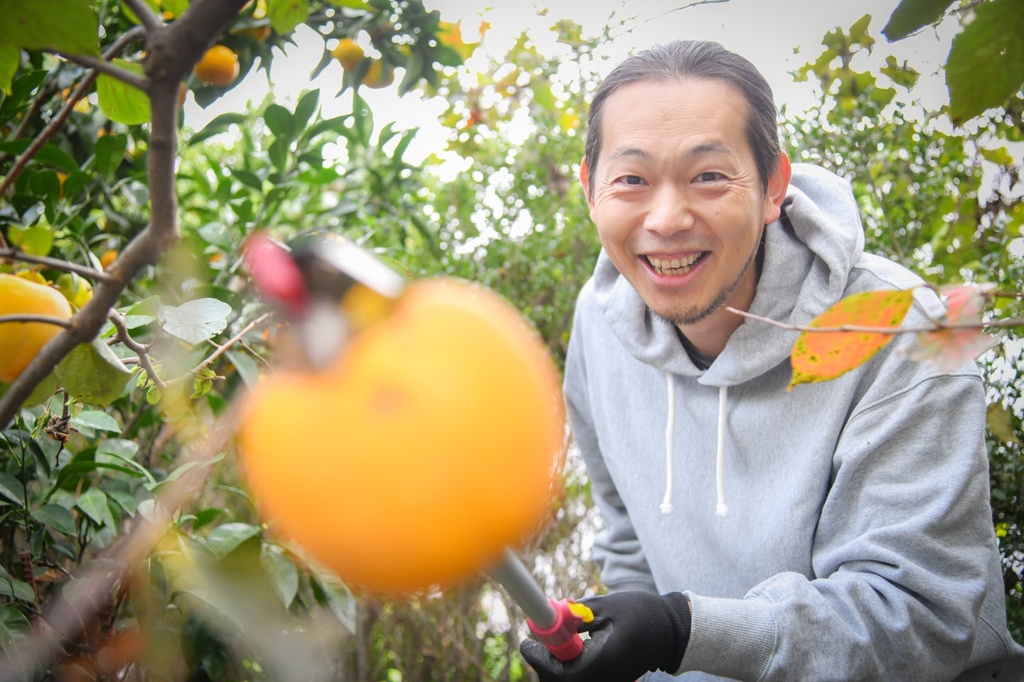 湘南のきさきフルーツプロジェクト グリーンズ