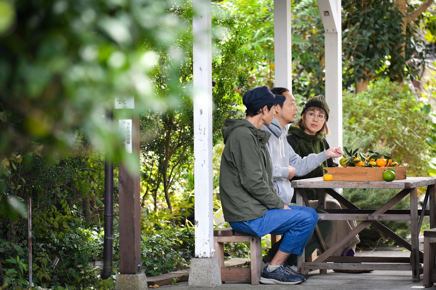 湘南のきさきフルーツプロジェクト グリーンズ