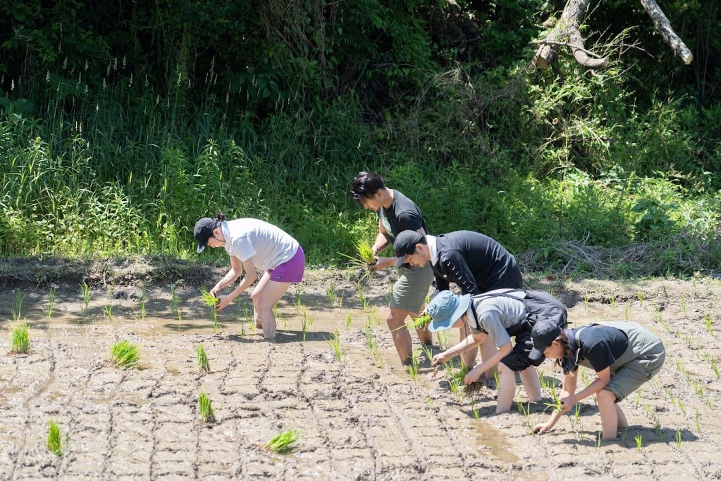 Soil to Soul FARMPARK KAMOGAWA グリーンズ