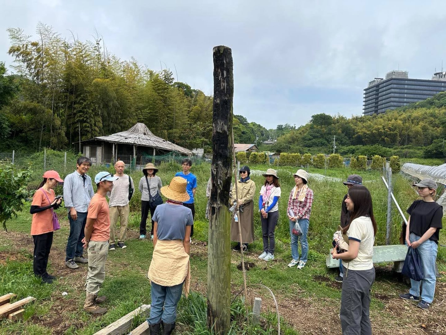 エシカル協会 グリーンズ