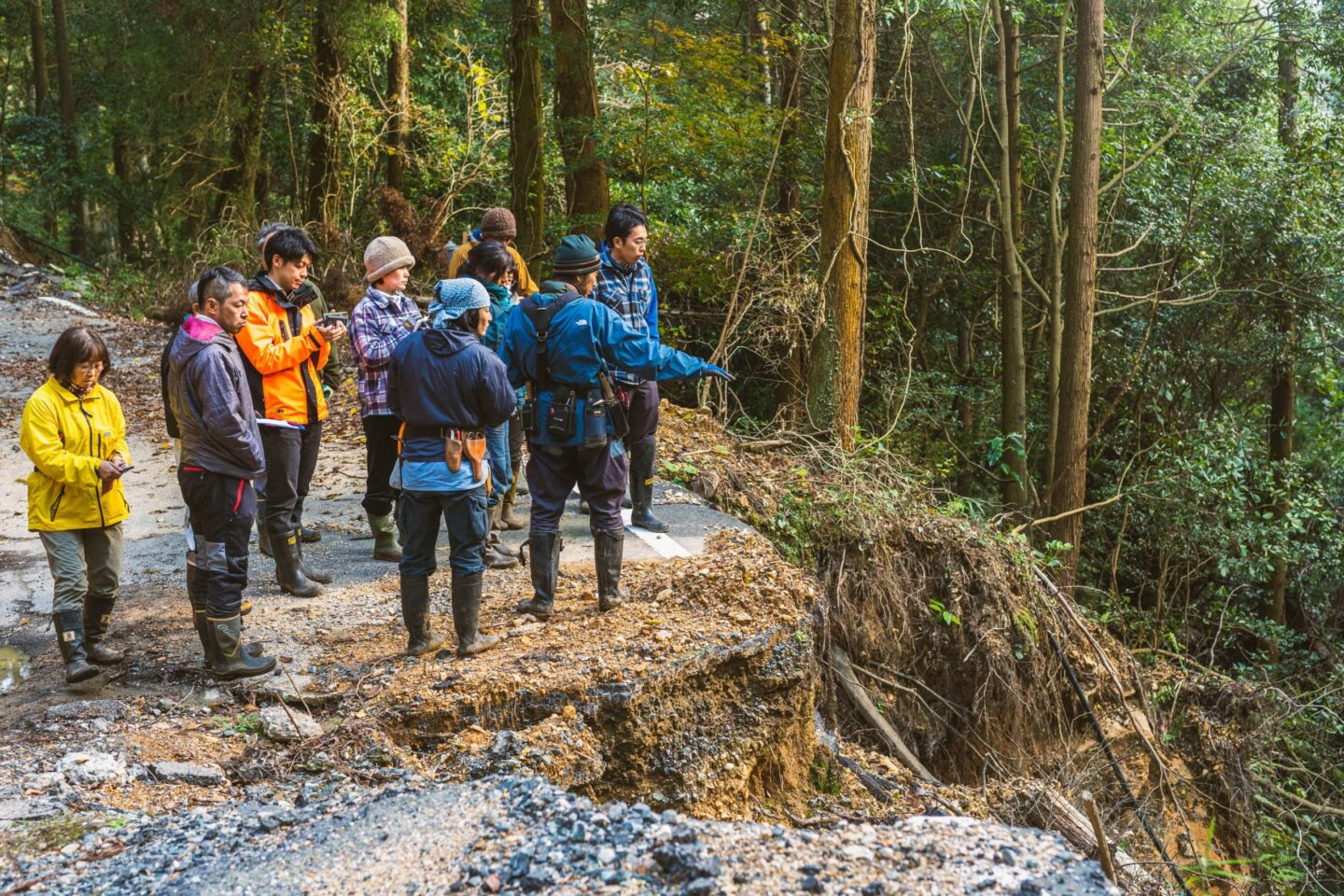 田島山業　グリーンズ