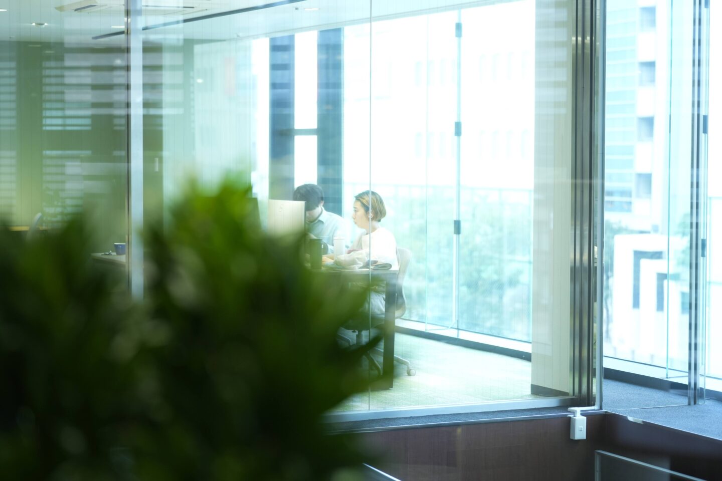 ボーダレスファウンデーション