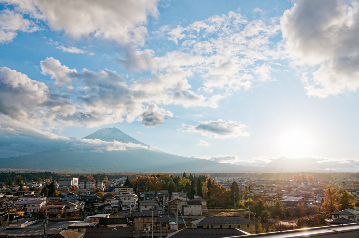 かえる舎 グリーンズ
