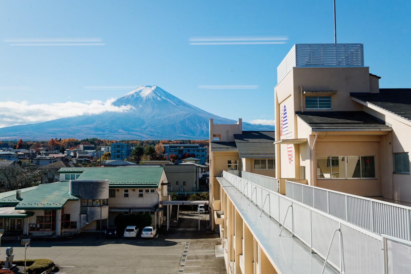 かえる舎 グリーンズ