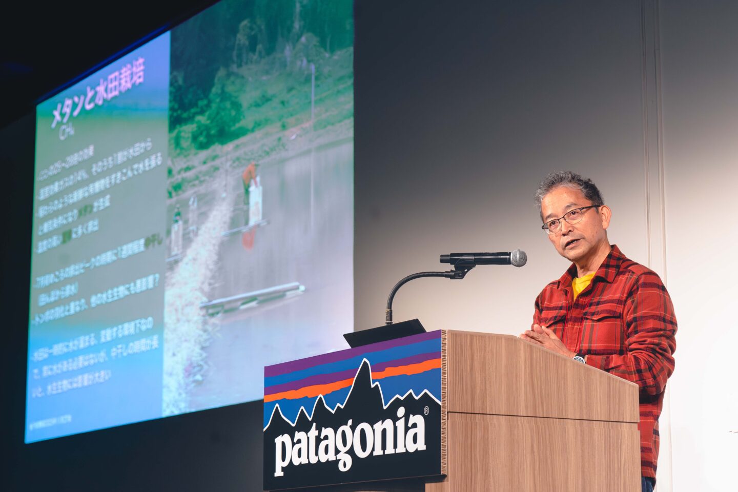 やまもり2025　グリーンズ