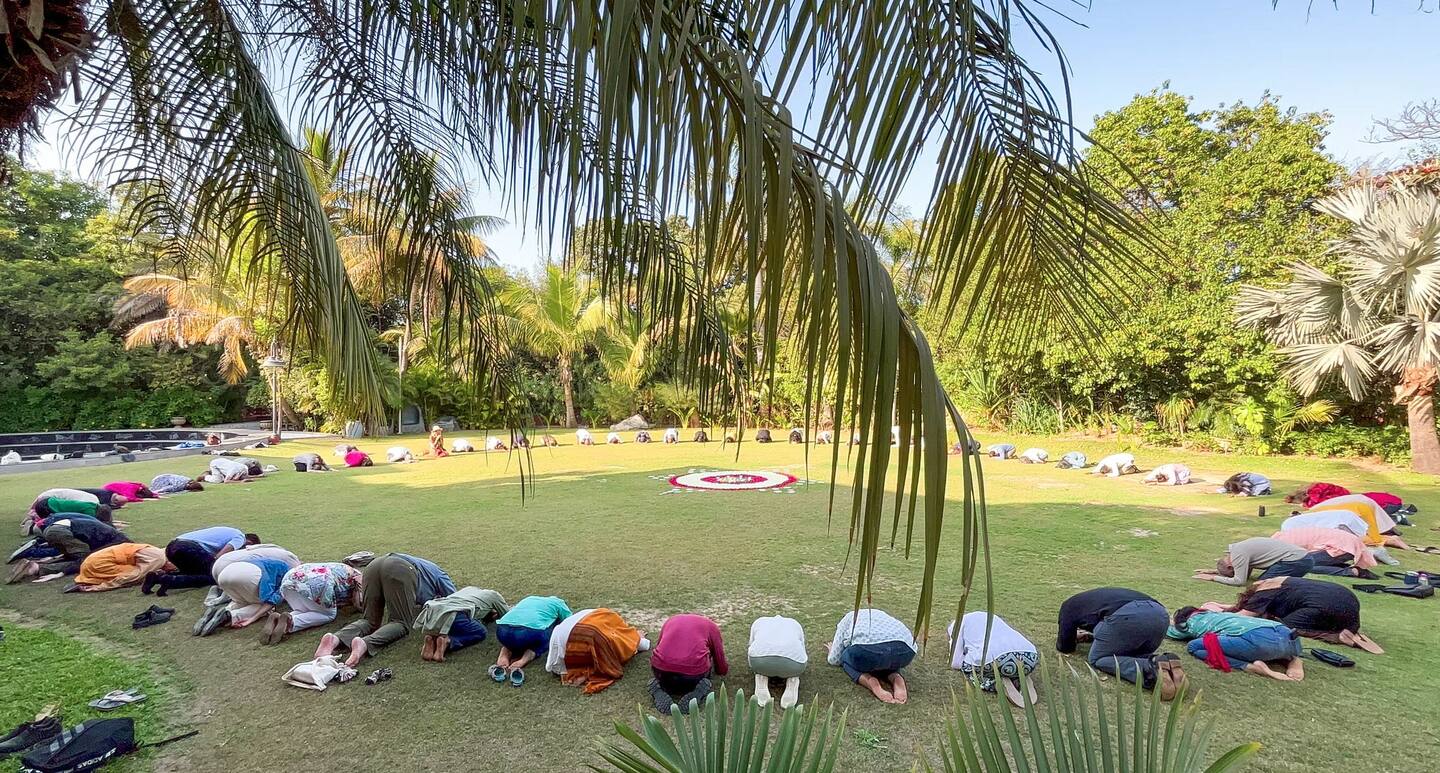 Gandhi3.0 グリーンズ