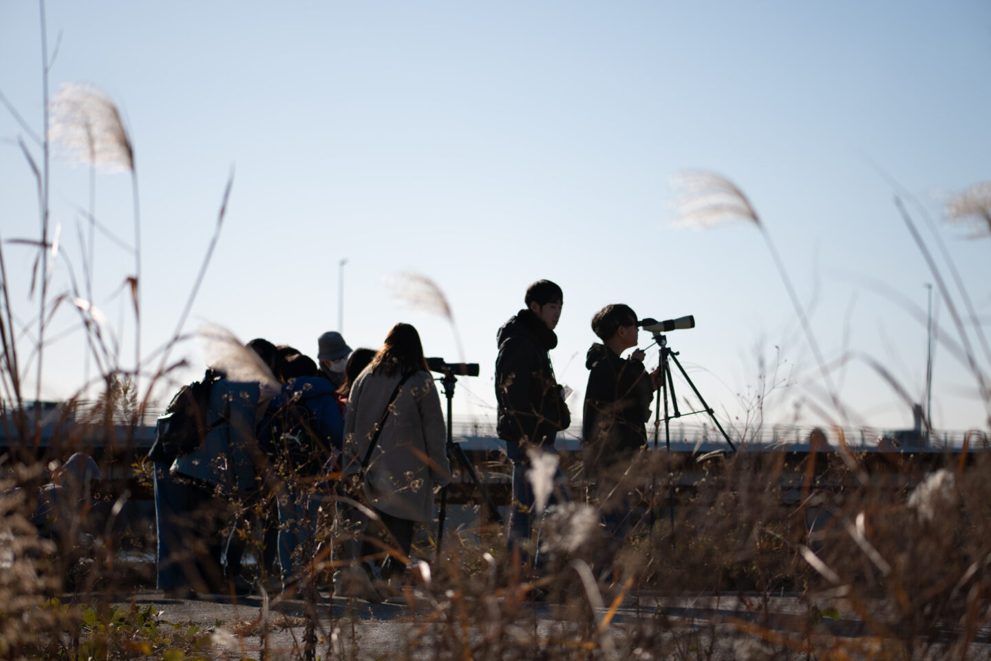 NPO法人チーム1.5おおいた「子ども地球教室」　グリーンズ