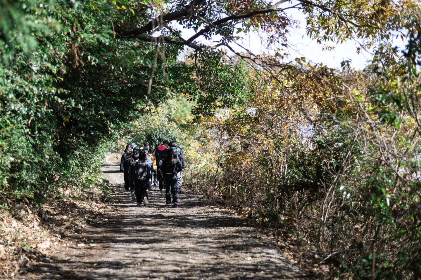 NPO法人チーム1.5おおいた「子ども地球教室」　グリーンズ