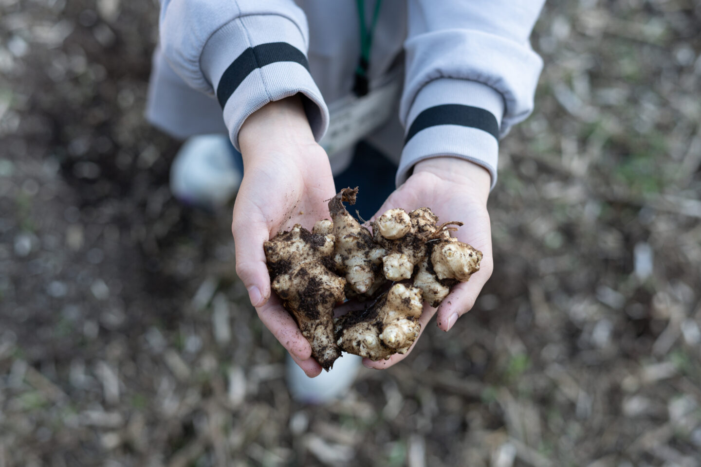 NPO法人チーム1.5おおいた「子ども地球教室」　グリーンズ
