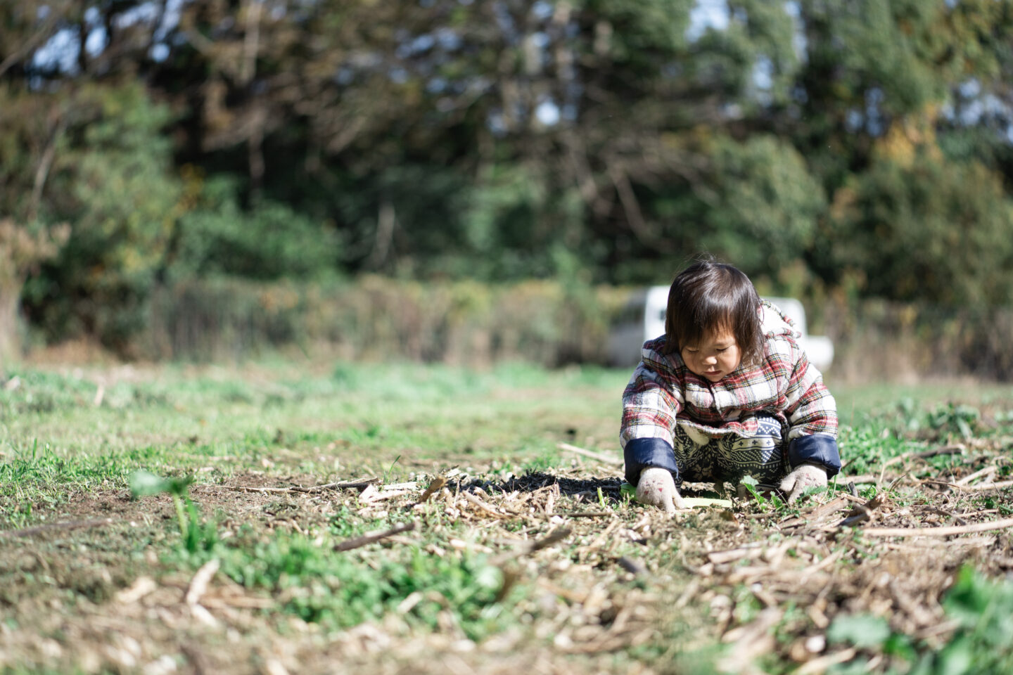 NPO法人チーム1.5おおいた「子ども地球教室」　グリーンズ