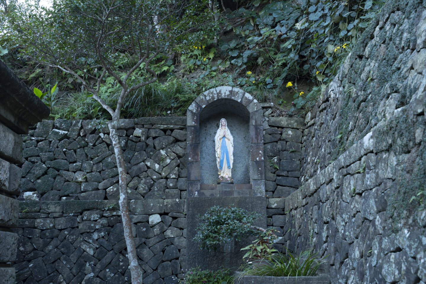 シェアハウスBAY 上五島　グリーンズ