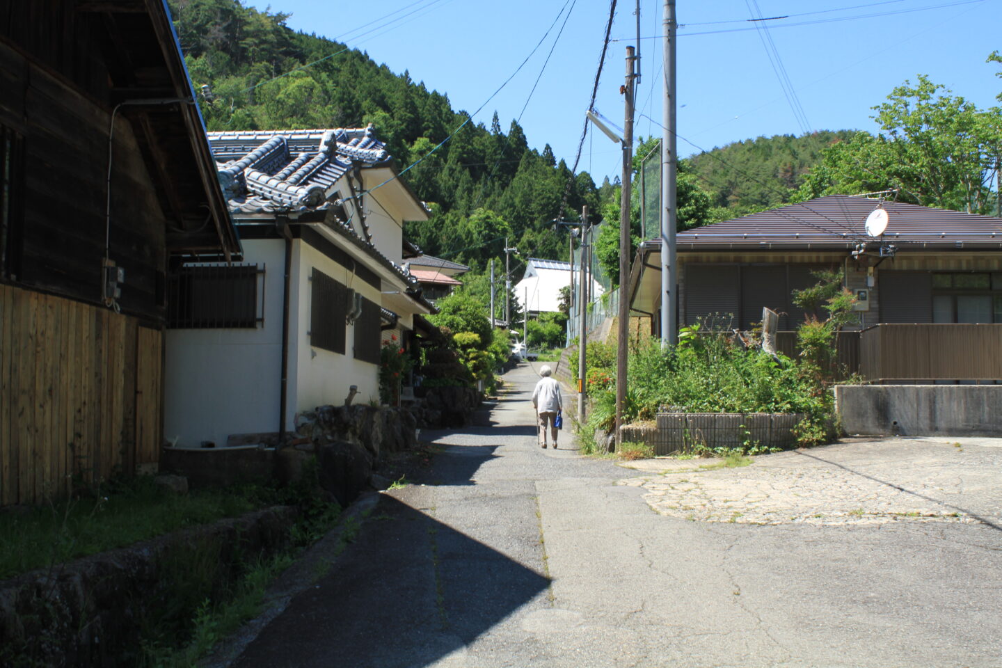 フキシネマパラダイス　グリーンズ