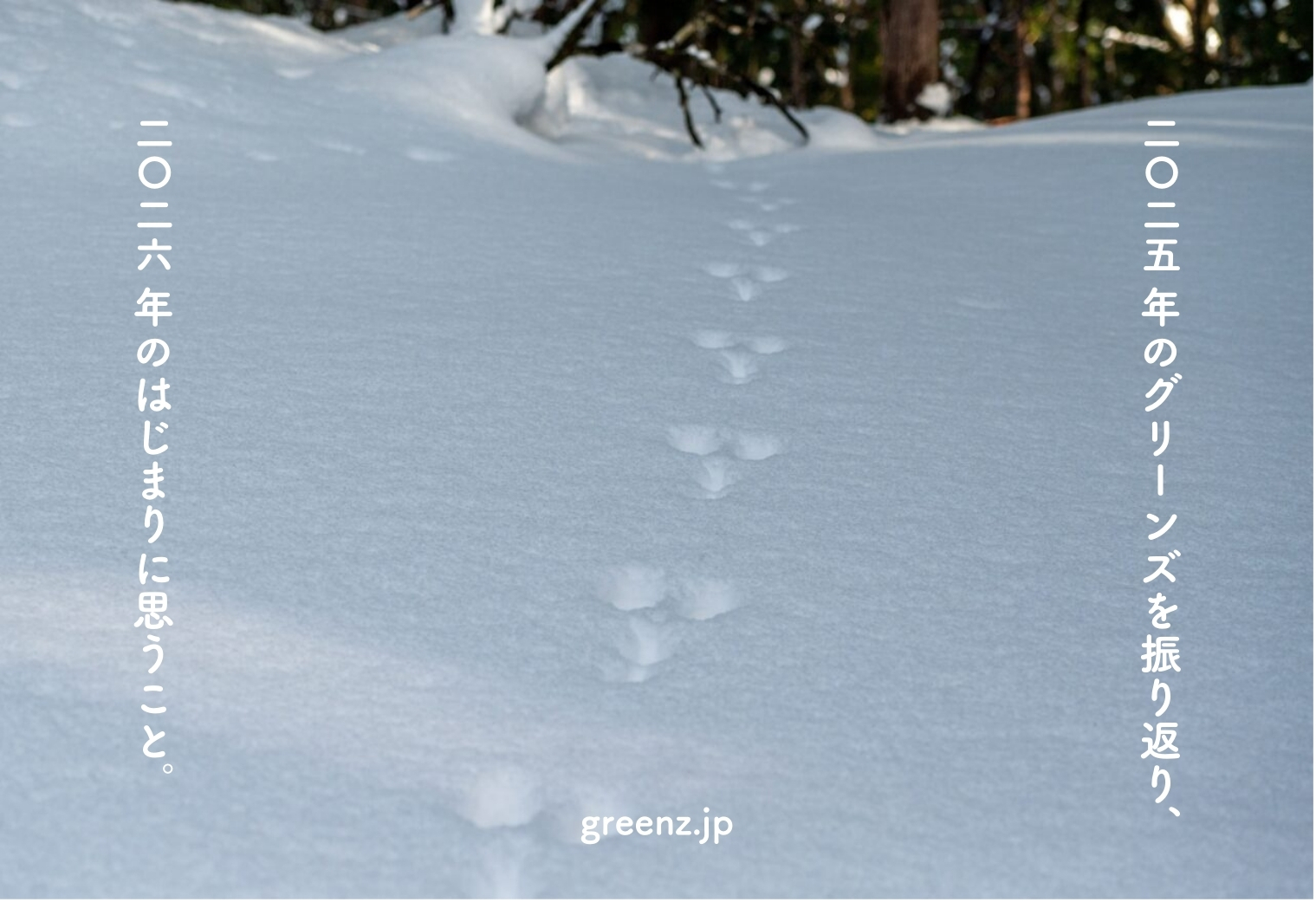 感性をひらいて、人と、社会と、自然と向き合おう。2025年のグリーンズを振り返り、2026年のはじまりに思うこと。