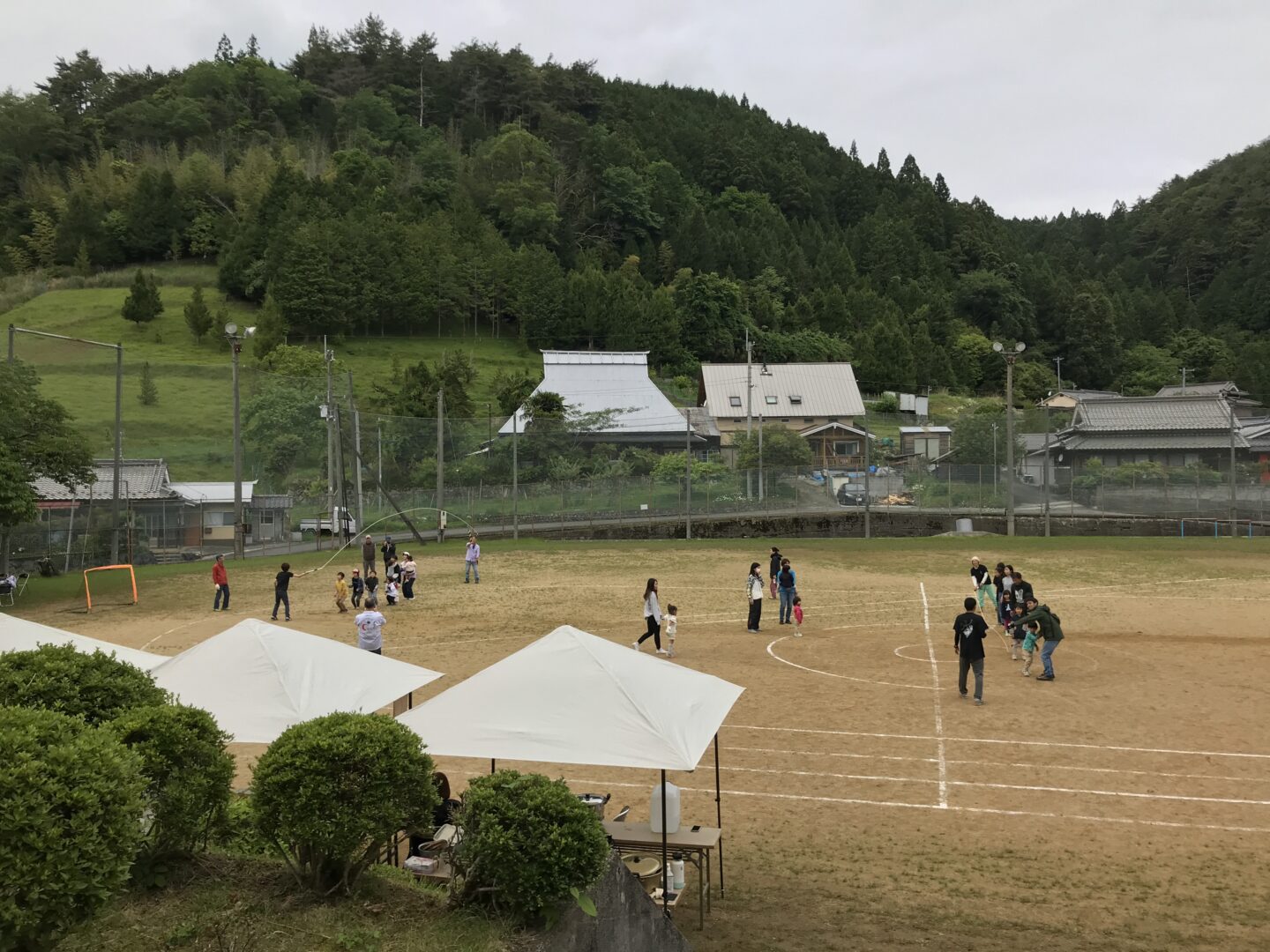 フキシネマパラダイス　グリーンズ