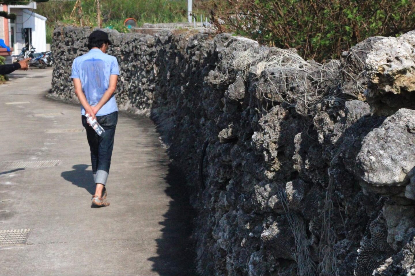 SATOYAMA グリーンズ