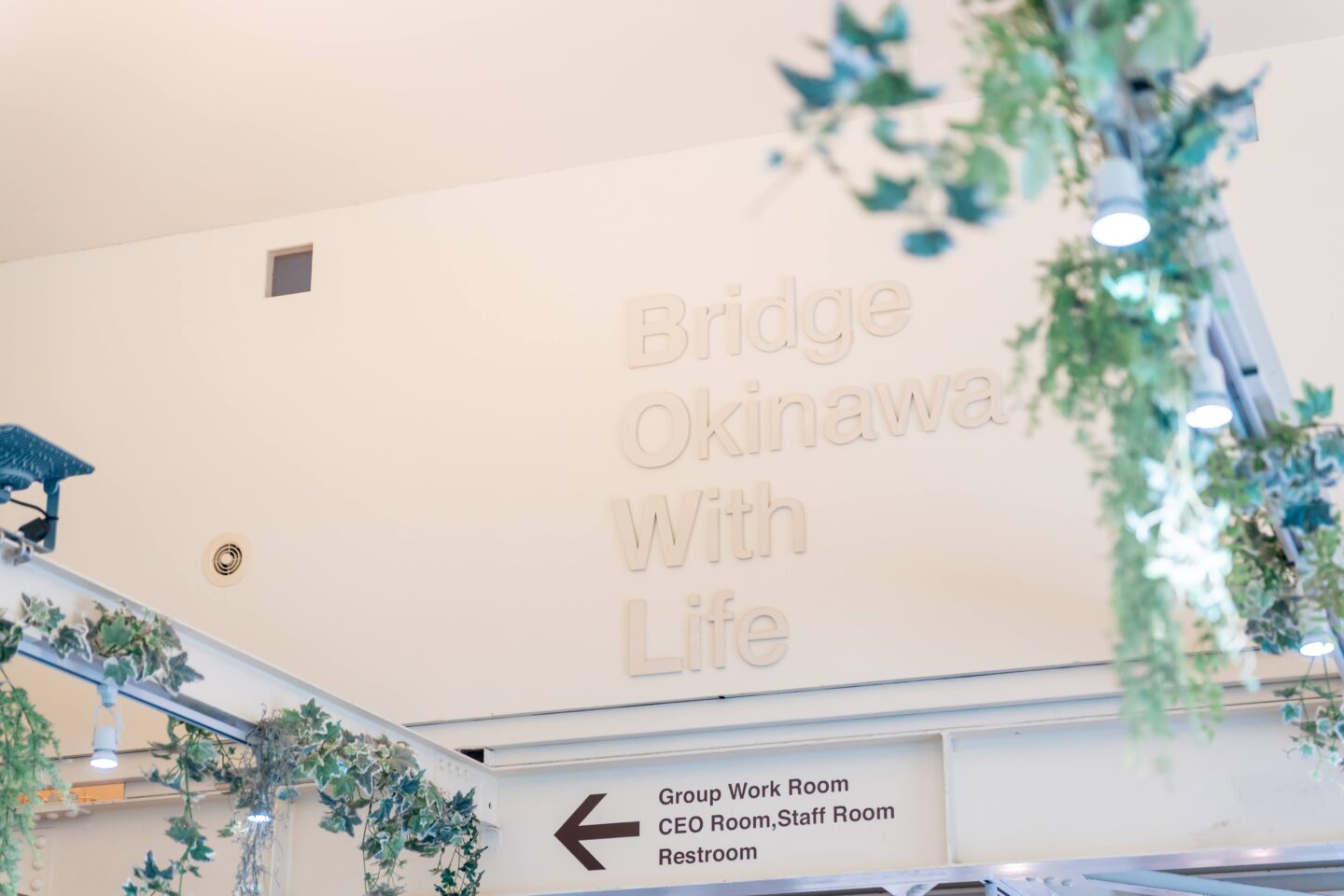 一般社団法人BowL　グリーンズ