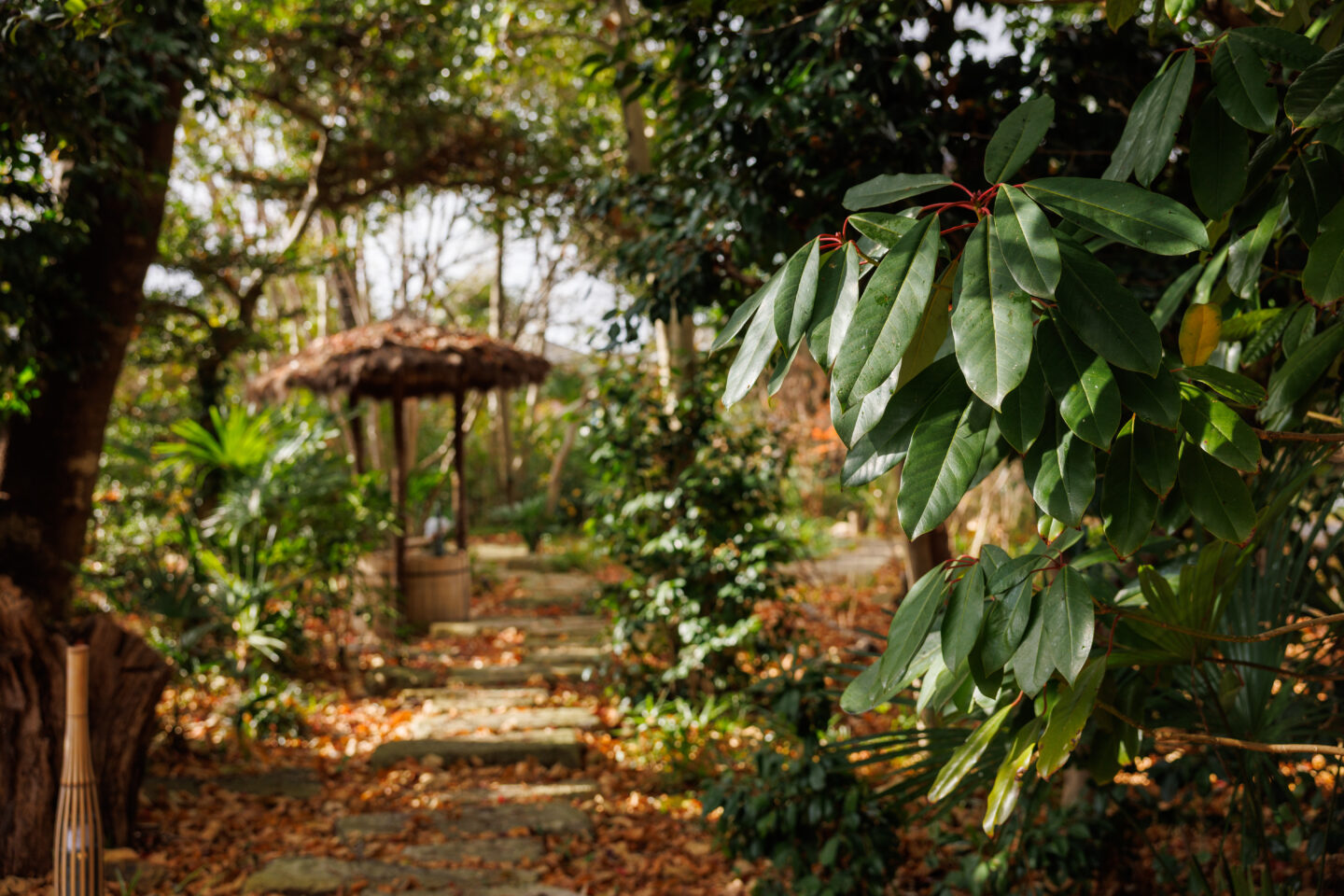 台の森　グリーンズ