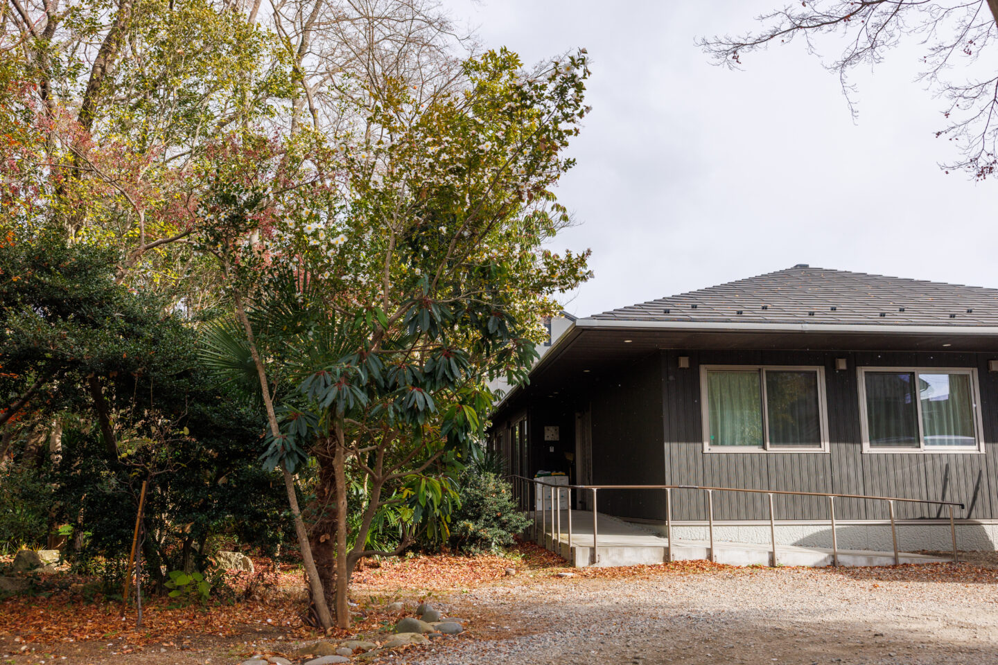 台の森　グリーンズ