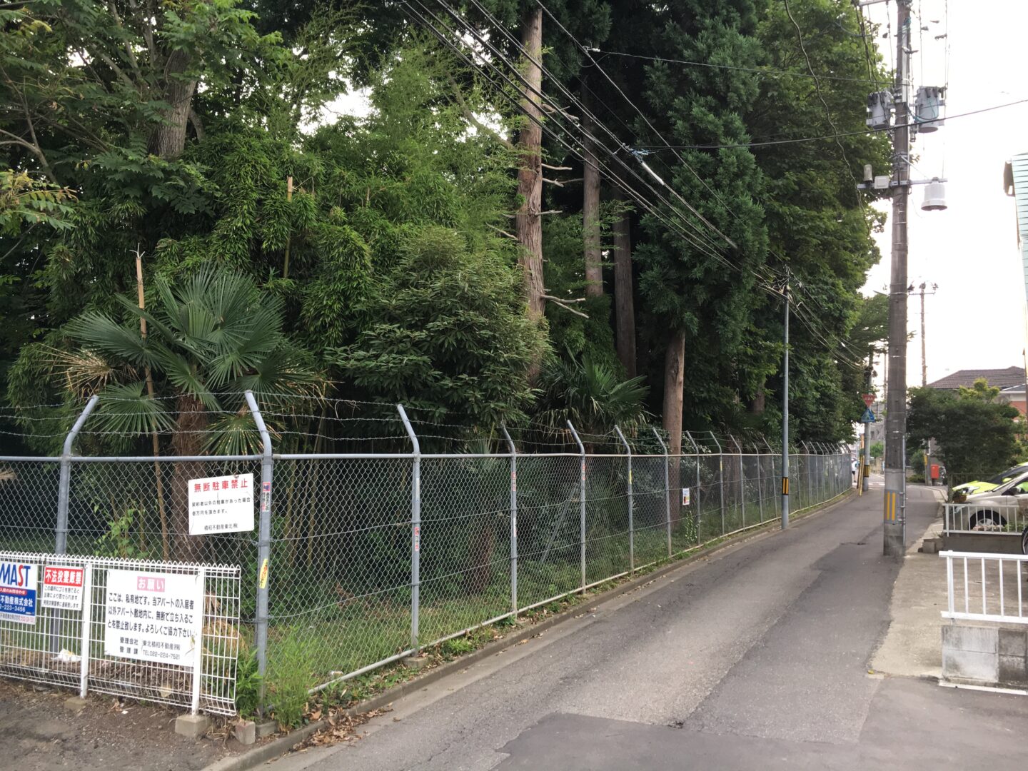 台の森　グリーンズ