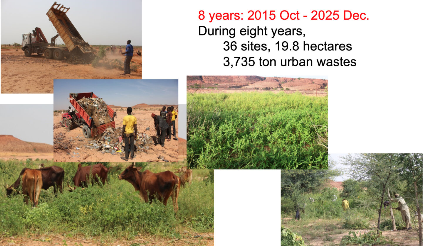 大山修一　グリーンズ